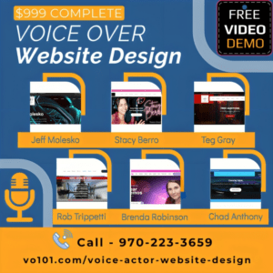 voice over website design